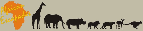 African Escapades